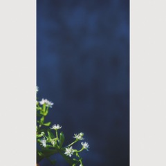 E14A76D4-BD26-49D7-A657-2820951A06EF/L0/001