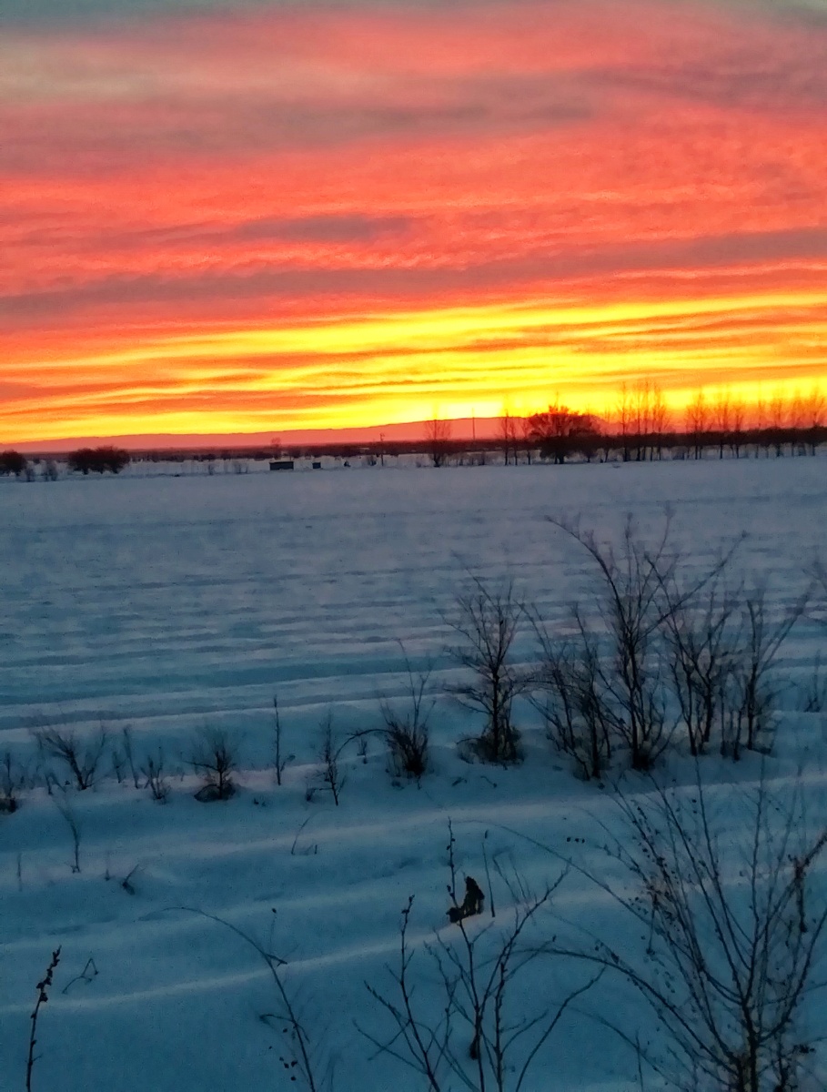 冬季的霞光最富有色彩朝霞与白雪辉辉相映折射出五彩缤纷的大地