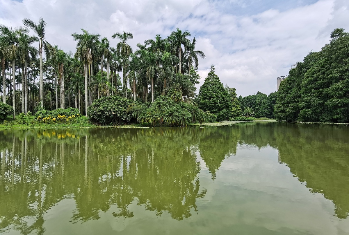 龙洞琪林广州市历史建筑华南植物园