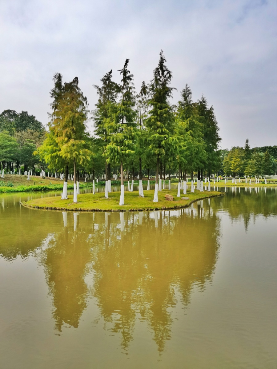 冬景美如画广州白云湖