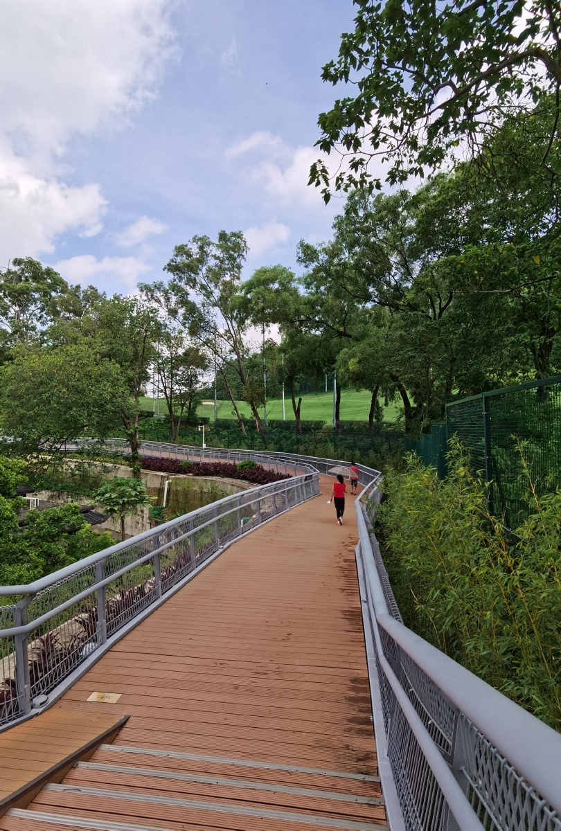 吸氧健步好去处广州空中云道雕塑公园至麓湖公园段云道是白云山麓湖