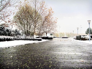 武汉的第一场雪