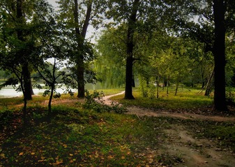 53a.jpg