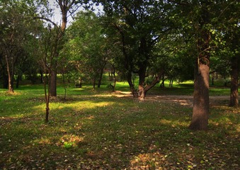 54a.jpg