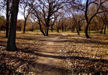 20a.jpg