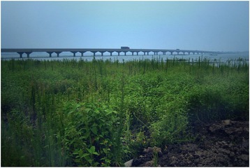 风景