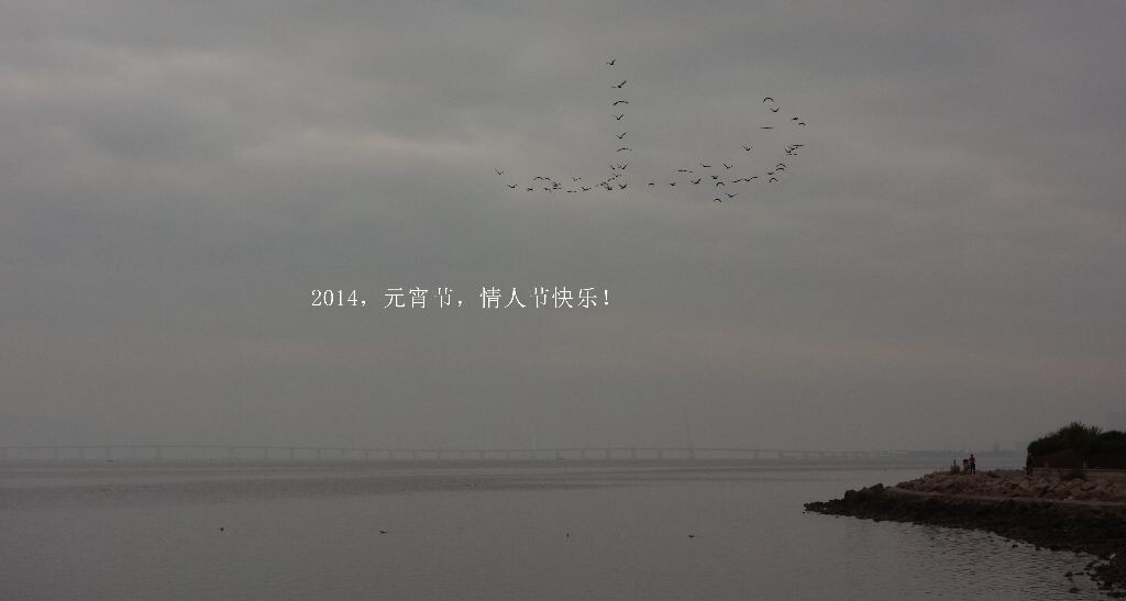 鸟儿飞得很快，终于被我捉到了！哈哈<br />
Happy Valentine ！