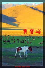 秋之骏马