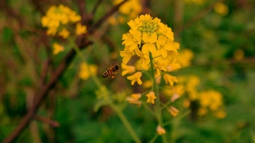 DSC04488_