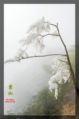 雾凇