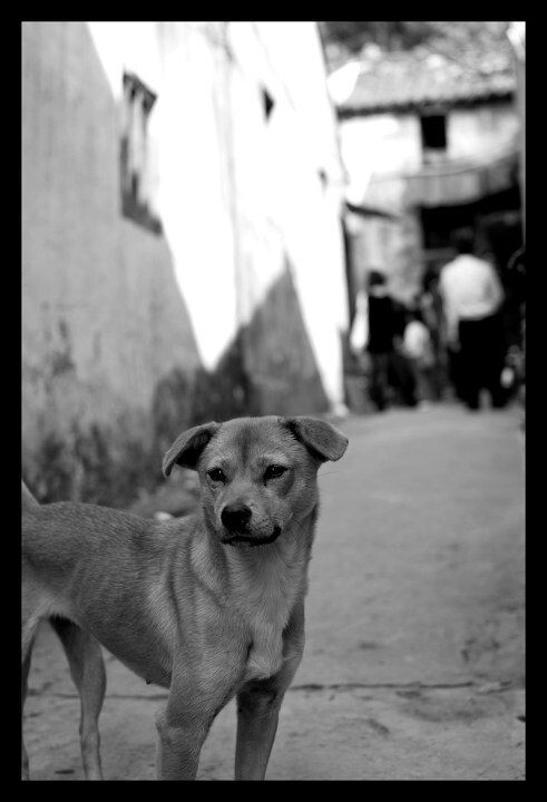 DSC_0026_<br />