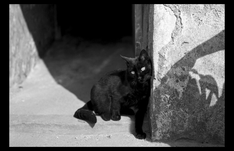 DSC_0015_<br />