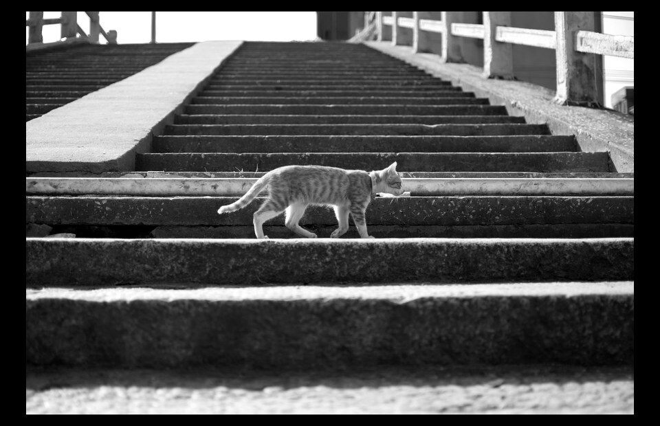 DSC_0016_<br />