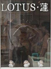 莲店