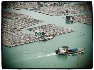霞浦2.jpg