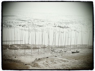 霞浦6.jpg