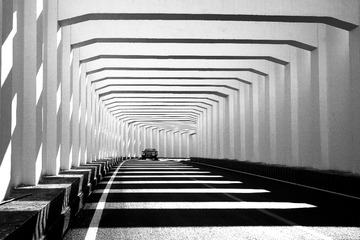P1030896-1