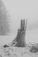 素描画雪 (3)