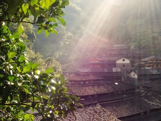林坑 (3).jpg
