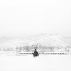 雪（1）.jpg