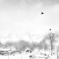 雪（6）.jpg