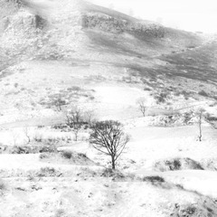 雪（7）.jpg