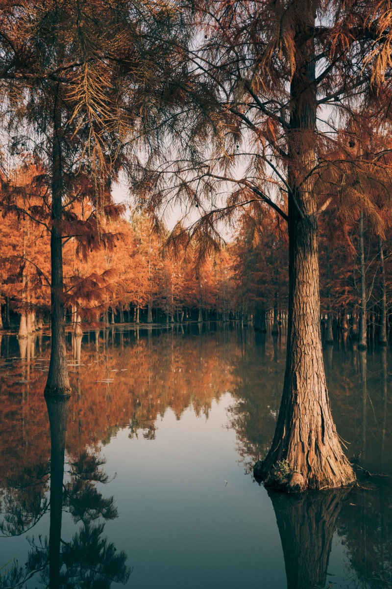 最是一年好光景