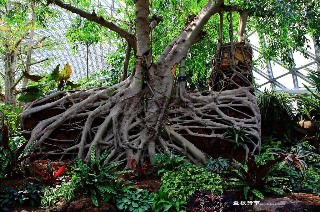 上海辰山植物园
