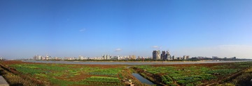 长沙全景图