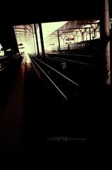 stop craying your heart out..