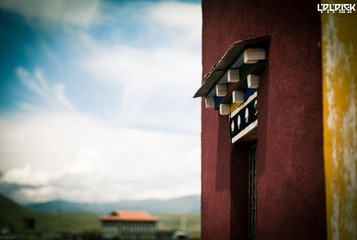 藏