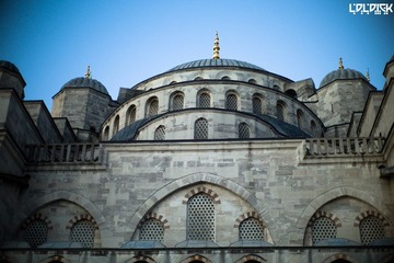 nEO_IMG_L1005921.jpg