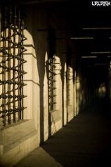 nEO_IMG_L1005980.jpg