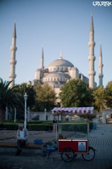 nEO_IMG_L1005972.jpg
