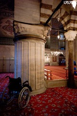 nEO_IMG_L1006317.jpg