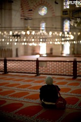 nEO_IMG_L1006138.jpg