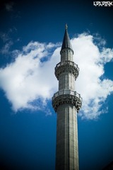 nEO_IMG_L1006175.jpg
