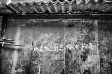 nEO_IMG_L1000020-编辑.jpg