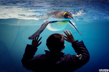 CHENGDU OCEAN PARK