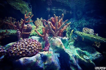 CHENGDU OCEAN PARK