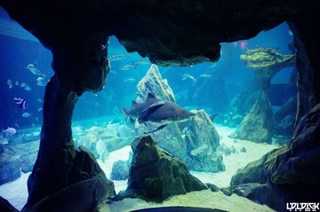 CHENGDU OCEAN PARK