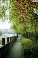 望江公园