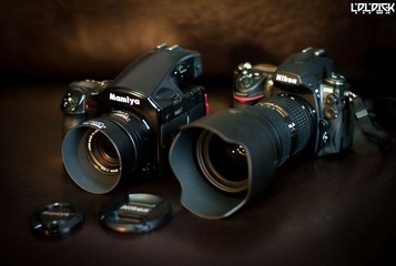 新玩具