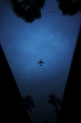 _DSC3284