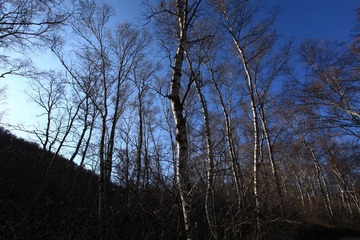 IMG_2024.JPG
