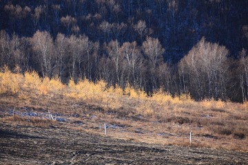 IMG_2034.JPG