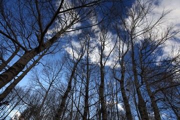 IMG_1960.JPG