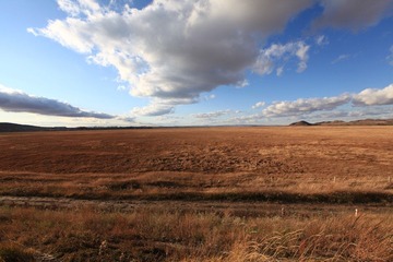 IMG_1977.JPG