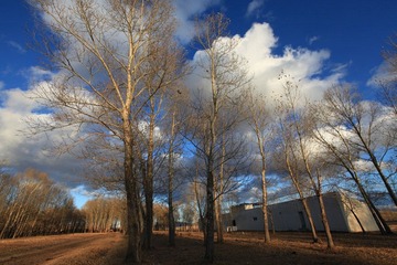 IMG_1989.JPG