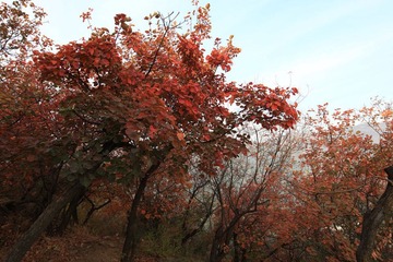 IMG_2124.JPG